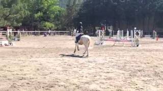 Concours en 70cm (1ere)