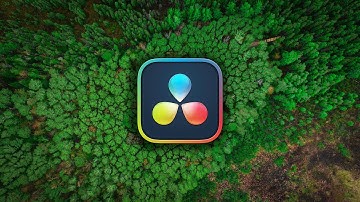 DaVinci Resolve saves the day! Capture high quality stills from video!!