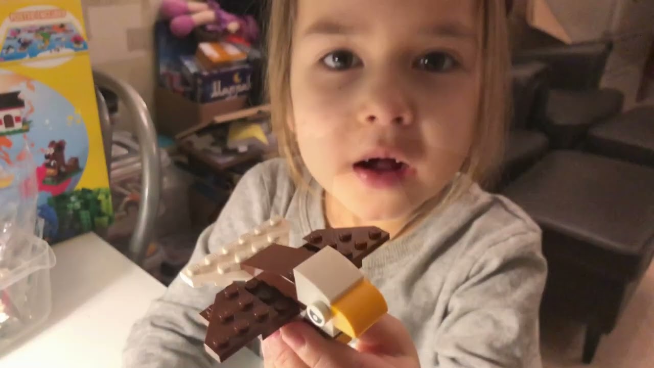 🦘🦈 ✈️ 🚌 🦅    