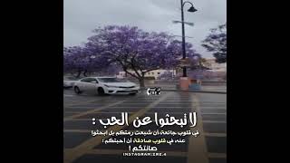 تصميم_لا_تبحثوا_عن_الحب_في_قلوب_جائعة_ان_شبعت_رمتكم_بل_ابحثوا_عنه_في_قلوب_صادقة_إن_أحبتكم_صانتكم