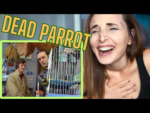 REACTING TO MONTY PYTHON | Dead Parrot Sketch!