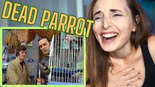 REACTING TO MONTY PYTHON | Dead Parrot Sketch!