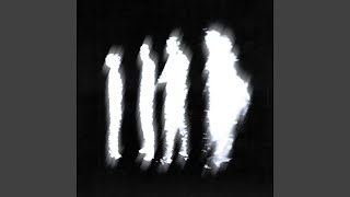 Lilium - KREZUS