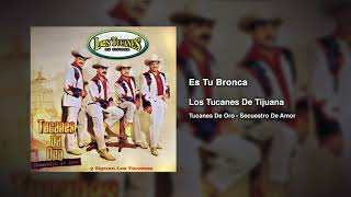 Watch Los Tucanes De Tijuana Es Tu Bronca video