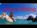 Enjoying horse riding in Rana hunting resort.#punjabi #resort