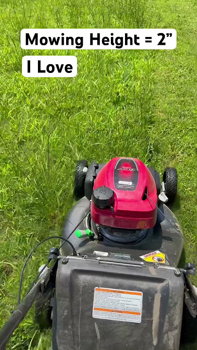 Honda HRN216 mowing Tall Grass/ overgrown lawn #Shorts. #Honda.