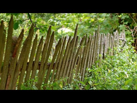 Video: Úniky Strechy, Ako Rýchlo Určiť Miesto úniku A Eliminovať Ho