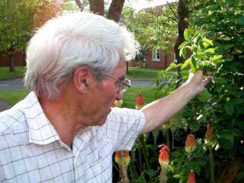 Gardening tips with Dennis Hubbard (No.6)