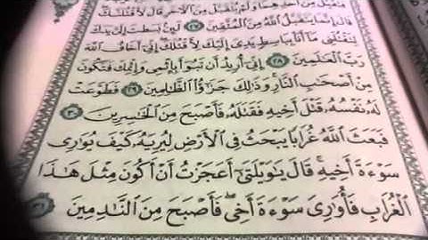 سورة المائدة ص١١٢تصحيح تلاوة