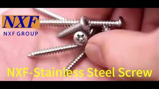 NXF UNS S30400 ASTM 304/JIS 304/EN 1.4301 Length2-150mm Stainless Steel Pan Head Tapping Screw