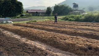 EP.19ขยายแปลงเติมฝัน เข้าสู่ฤดูฝนที่ชุ่มฉ่ำ|Thailand Lifestyle