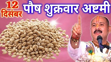 12 दिसंबर पौष शुक्रवार अष्टमी तिथि के दिन 11 गेंहू के दाने वाला उपाय जरुर करे || Pradeep Ji Mishra