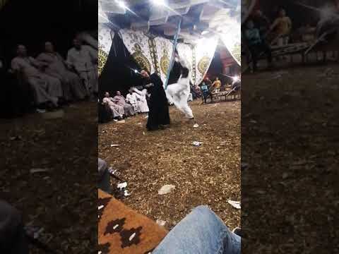 العمده محمود ابو فرغل الشيخ بركه مركز البلينا سوهاج