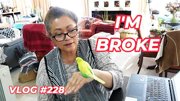 Comments, Super Thanks & Pedro the Budgie Talking | VLOG #228 Growing Succulents with LizK