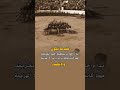 عندما نكون يدا واحدة لن يستطيع العدو تفريقنا مهما كانت قوتة لن يراى منا الا الهزيمة والإنكسار لايك