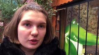 Как стать мамой крокодила? Нильский крокодил под опекой Как стать мамой крокодила? Нильский крокодил под опекой
