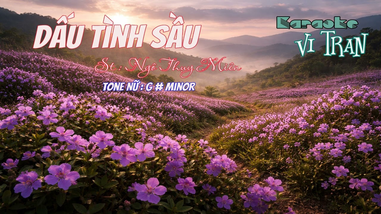 Karaoke Dấu Tình Sầu – Tone Nữ |  Karaoke Vi Tran