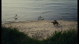 In der Natur - Teaser