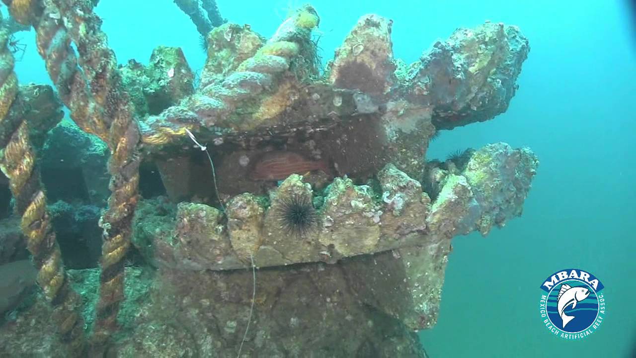 mexico primera division MB 160 Unnamed Reef 5 Sep 2015