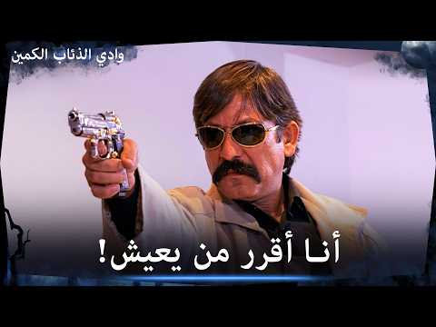 جميع مشاهد بالا