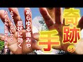 100万回再生の動画がついに復活!!【奇跡の手】すぐに呼吸が楽になりあらゆる痛みや症状に効果が感じられたとコメントをいただいた強力な氣が流れます【熟睡、安眠、体が軽くなる】