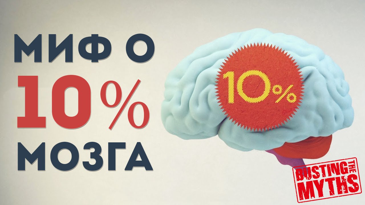 10 процентов мозга. Мозг работает на 100 процентов. Мозг работает на 10 процентов. Мы используем мозг на 10 процентов.