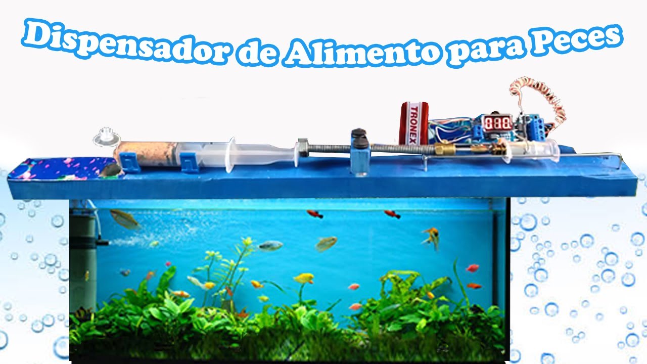 Cómo hacer un Dispensador Automático de Alimento para Peces. - YouTube