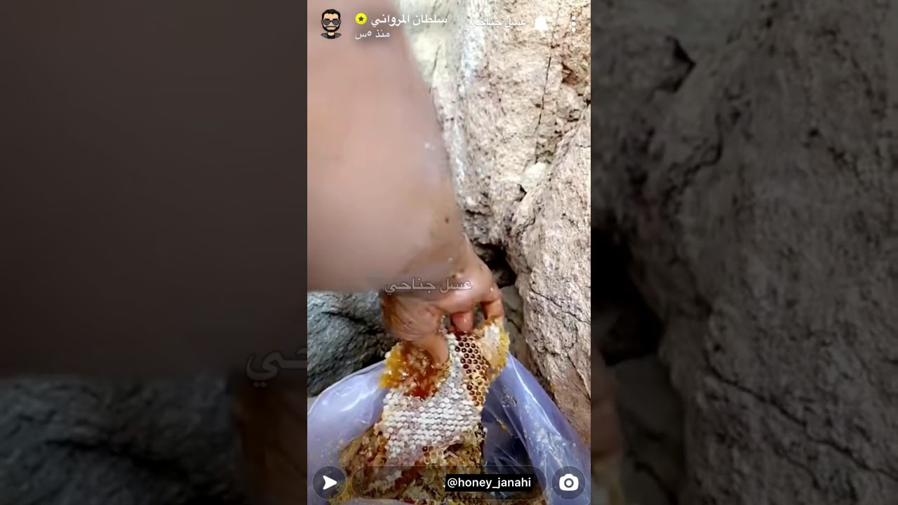 عسل جبال رضوى رحلة شاقة الى أعالي الجبال