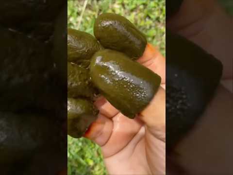 मेहंदी लगाने का सही तरीका... आइए जानते हैं?.....#mehandi #viralreels #trendingreels #mehandidesign