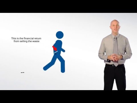 Applying Sustainability In Business: Two Major Rules (CIPS And EFMD Business Education Video)