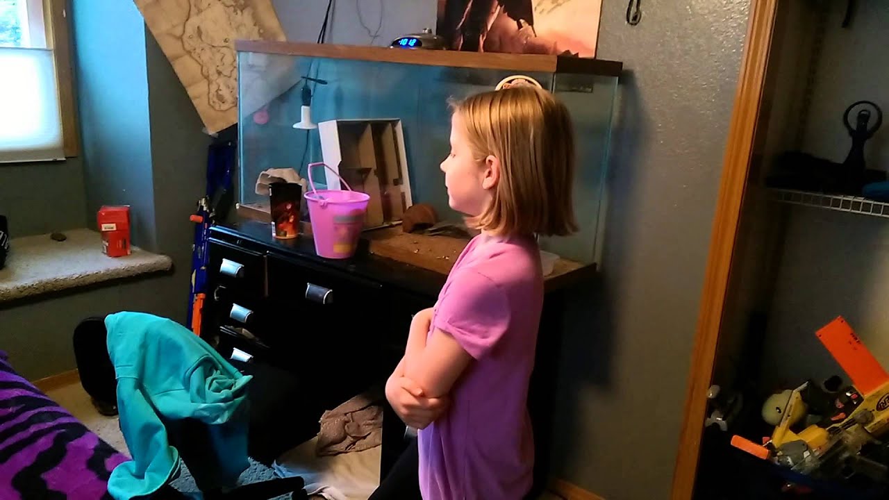 How to find a Genie! YouTube