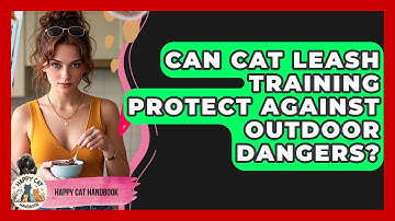 Can Cat Leash Training Protect Against Outdoor Dangers? - Happy Cat Handbook