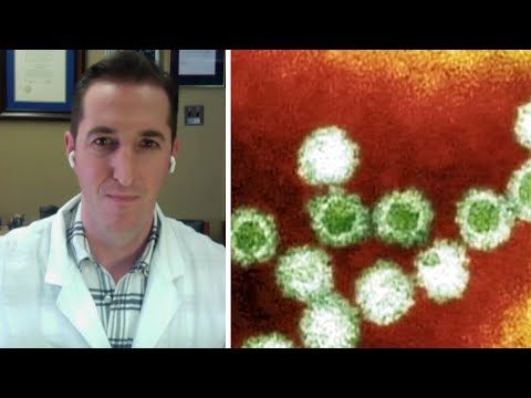 Norovirus cases resurging in Canada | What do you need to know about the virus?