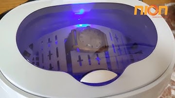 Sử dụng máy rửa siêu âm để làm sạch bụi Đồng hồ đeo tay