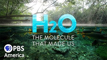 H2O: The Molecule That Made Us - Pulse (2020) | Full Documentary