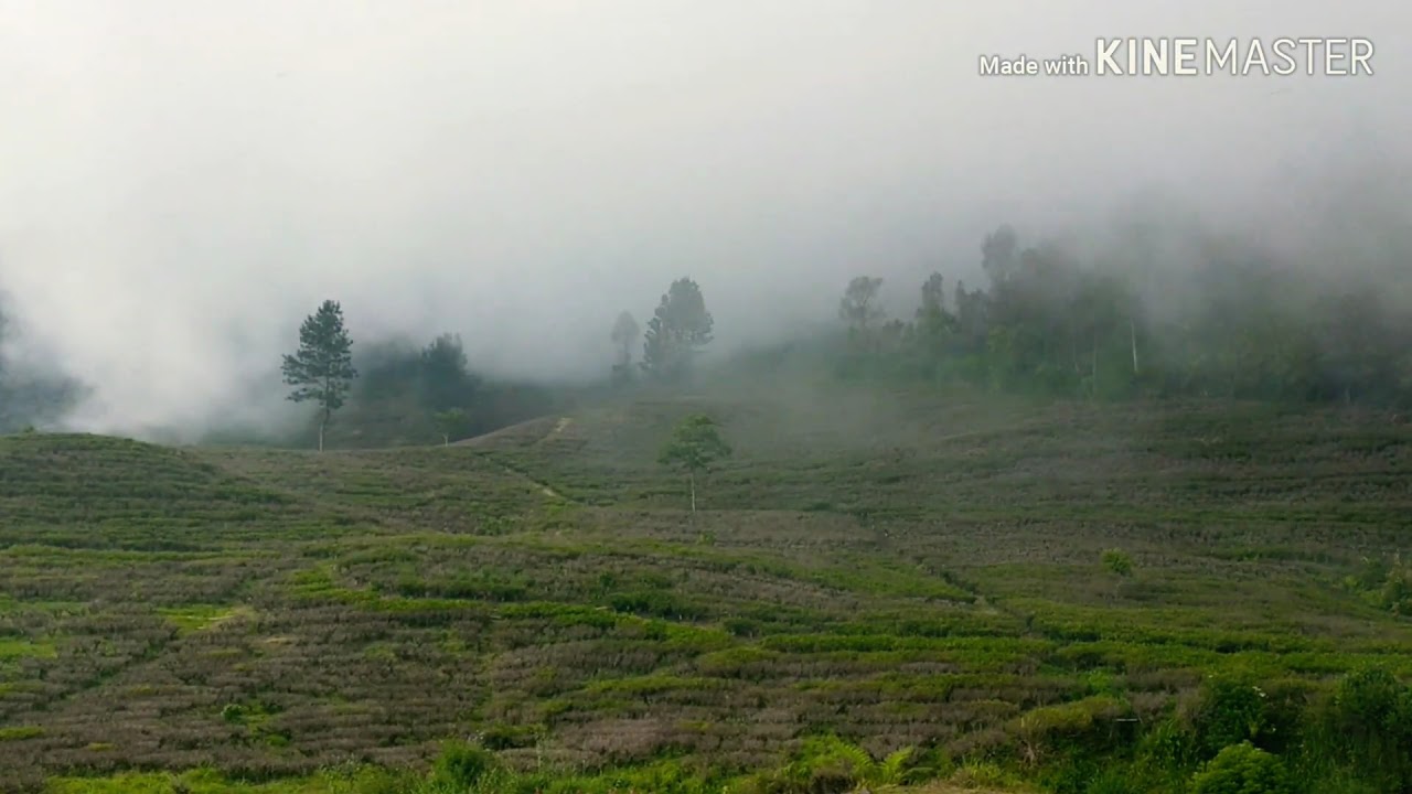 TIMELAPSE KABUT PUNCAK CISARUA