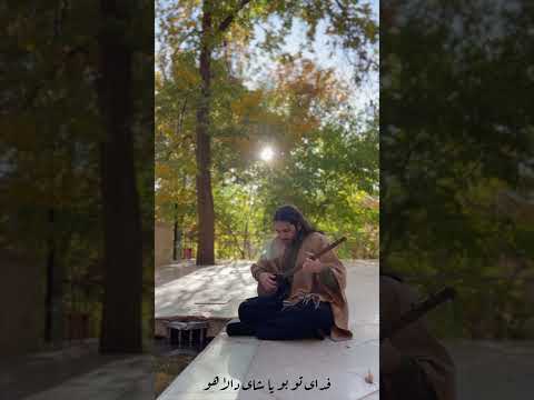 هومولا سیدوصال حسینی Seyed Vesal Hoseini 