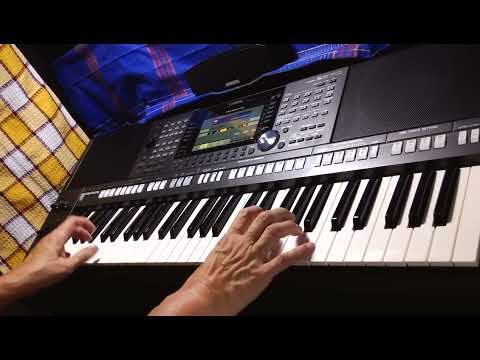 蘭花草 Ochild Grass played on Yamaha PSR-S970 by Holmes #211