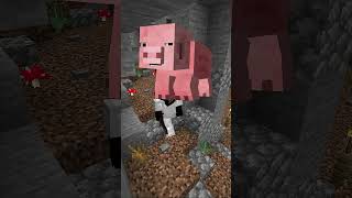 CREEPERLAR HAKKINDA TÜM BİLDİKLERİMİZ! 💎