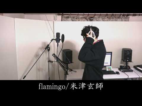 Flamingo / 米津玄師 Covered by ぬか暖簾