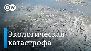 Экологические последствия катастрофы на Днепре