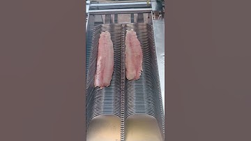 Stainless Steel Double Groove Fish Slicer