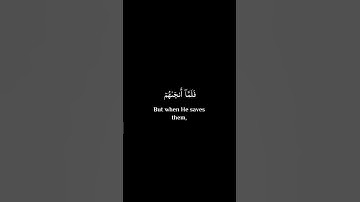 سورة يونس اية ٢٢ - القارئ عبد الرحمن مسعد - خلفية سوداء