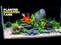 Aquascape Tutorial: Fancy Goldfish Planted Aquarium (How To: Step by Step Build Guide)