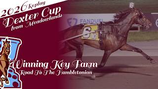 2026 Dexter Cup | Magic Punk | Road To The Winning Key Farm Hambletonian