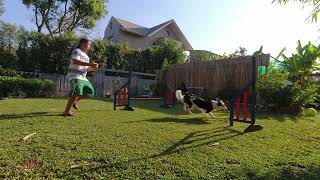 Agility Training EP.14 - Ella Front Cross Training