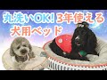 犬用ベッド選ぶならこれ！１年中使えるリバーシブルベット！！