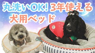 犬用ベッド選ぶならこれ！１年中使えるリバーシブルベット！！