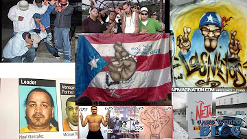 Asociacion Neta Gang Alliance HIstory (Puerto Rico)