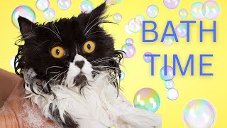 : From Stinky to Sparkling: Conquering Cat Baths with Confidence